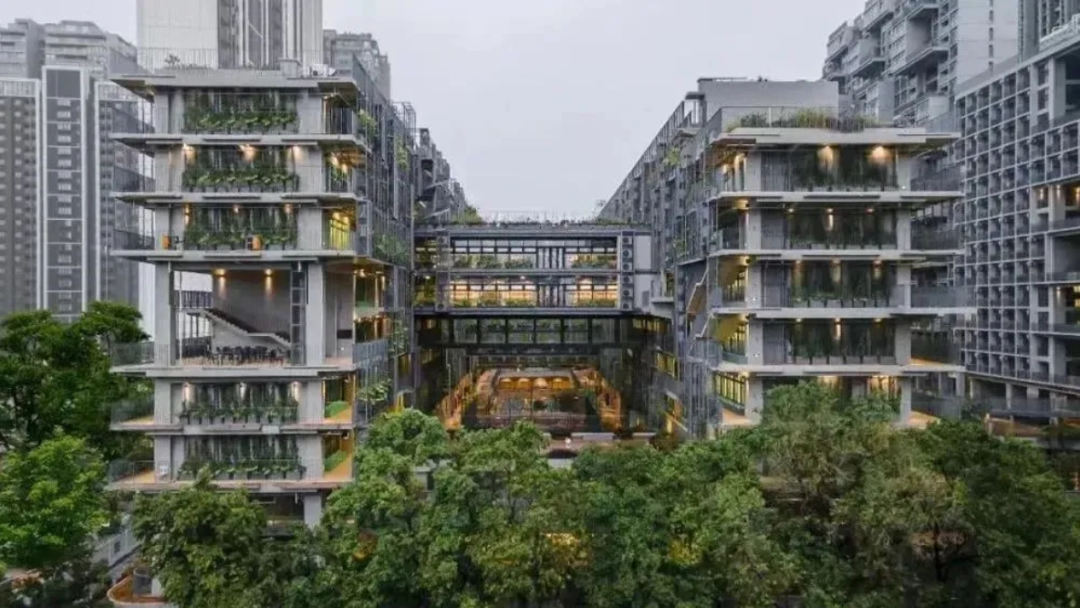 国际学校择校｜深圳国际交流书院（深国交）  深国交 深圳国际交流学院 第1张